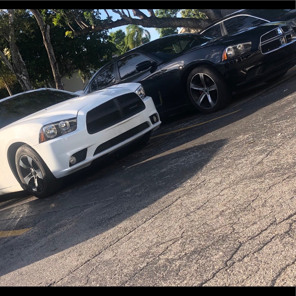 Meet your Posher, Jay